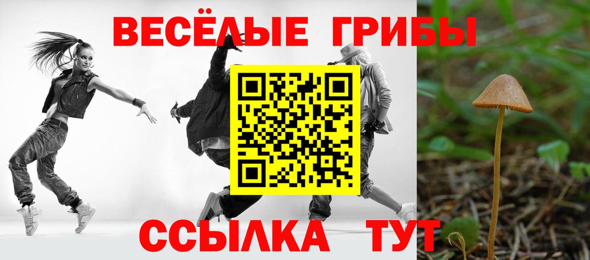 сколько стоит  Галлюциногенные грибы Cubensis  Вход с VPN  Коммунар 
